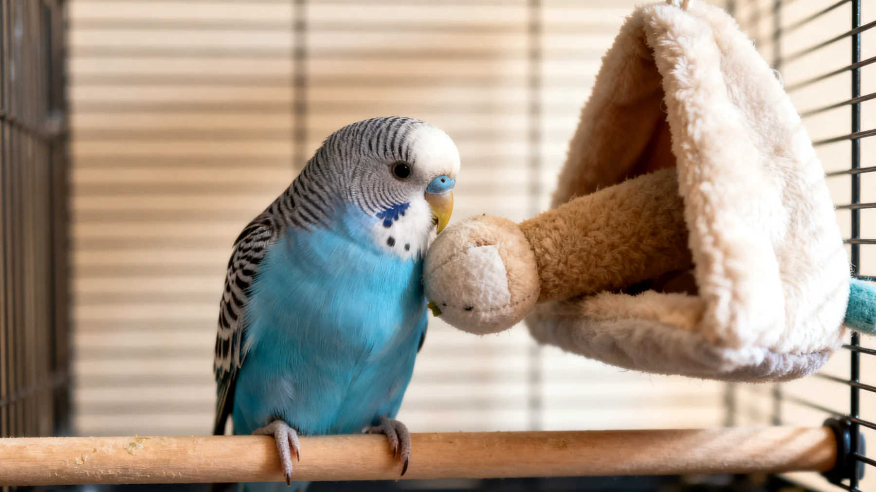 Wellensittiche benötigen nach einer Kastration besondere Beschäftigungsmöglichkeiten, da sie in der Erholungsphase körperlich eingeschränkt sind und gleichzeitig mental stimuliert werden müssen, ohne sich zu überanstrengen"